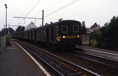 Faux - TH 84-11275.jpg